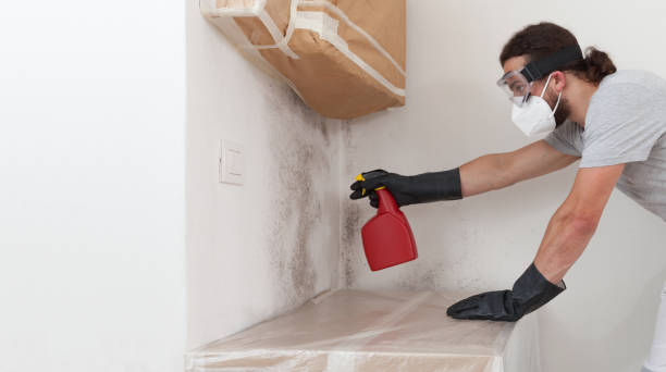 Professional Bathroom Mold Removal technician working in Rockwood, MI