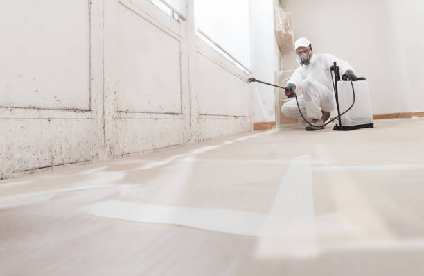 24/7 Emergency Bathroom Mold Removal experts in Rockwood, MI
